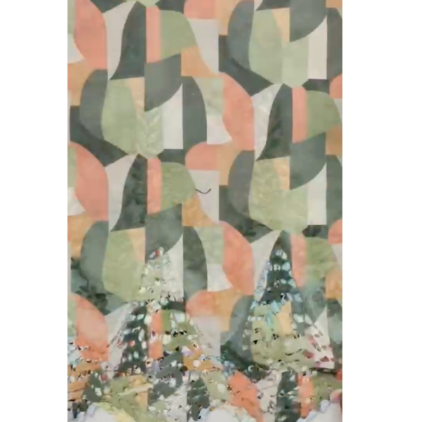 Pre-order printed lace embroidery printed cotton 9263